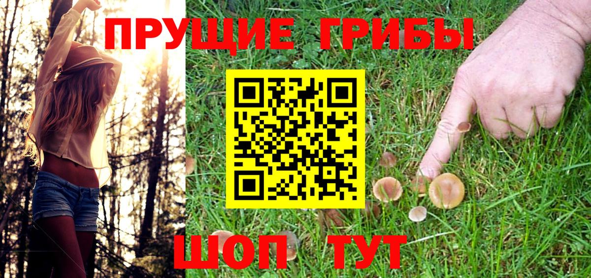 цены наркотик  Псилоцибиновые грибы Cubensis  Вход с VPN  Верхняя Салда 